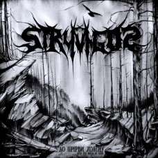 STRYVIGOR - Into The Abyss of Cold MCD
